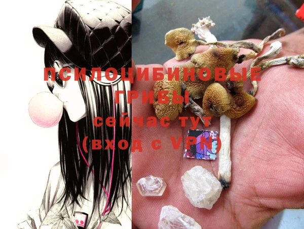 бошки Вязники