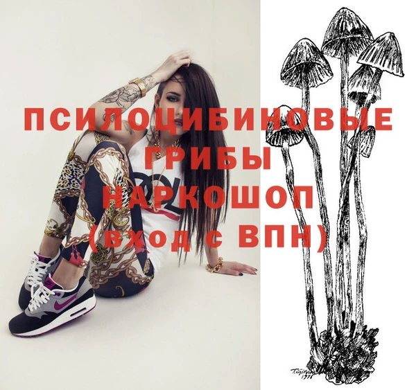 бошки Вязники