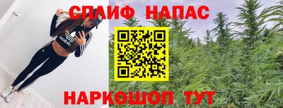 стаф Михайловск
