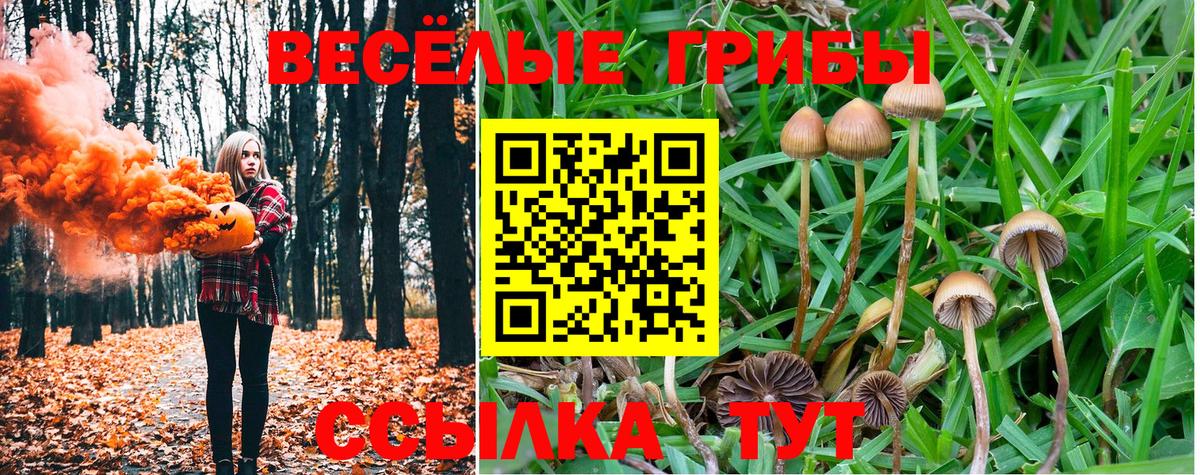 Калининград  Псилоцибиновые грибы мухоморы  Вход с VPN 