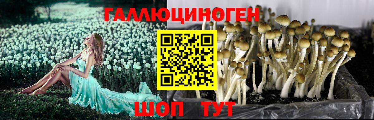 Галлюциногенные грибы мухоморы Калининград