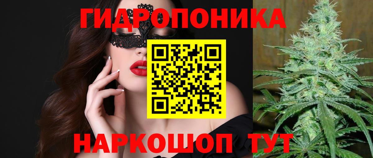 Бошки Шишки LSD WEED  МАРИХУАНА план  Шишки марихуана AK-47  Калининград  Вход с VPN  Канабис White Widow 
